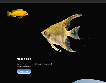 Aqua - A web Design for Aquariums