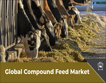 Compound Feed Market: Livestock Farming Trends 2024