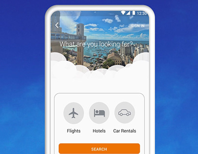 Travel Search App