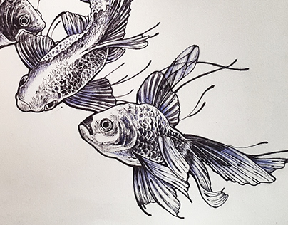 Fishes 01