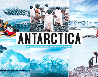 Free Antarctica Mobile & Desktop Lightroom Presets