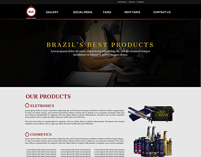 Brazil2Export Website