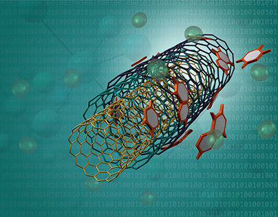 Nanotubes with polymer
