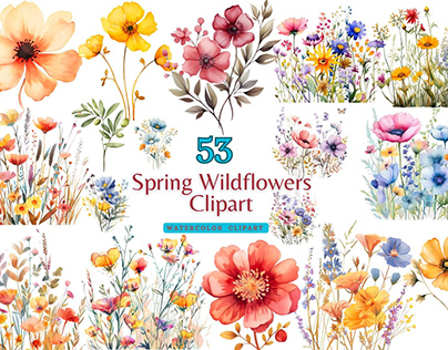 Spring Wildflower