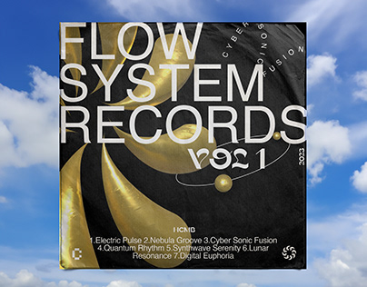 Flow System Records