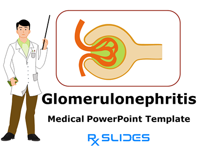 Glomerulonephritis PowerPoint Presentation Template