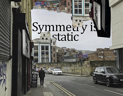 'Symmetry is Static' Dyptich
