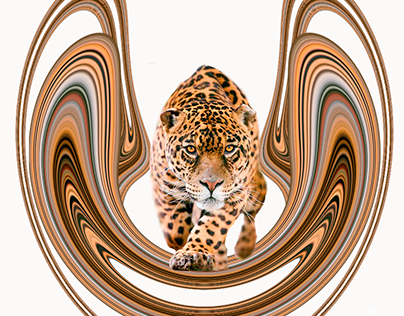 Jaguar Stretch Effect