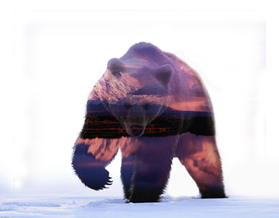 Bear Snow Colorful Double Exposure
