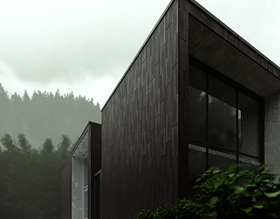 Blackwood house. Created by video tutorial