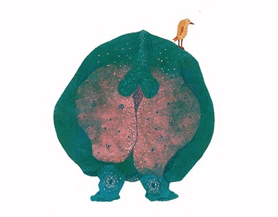 Illustrations for «Hippopopoema», Renata Mukha