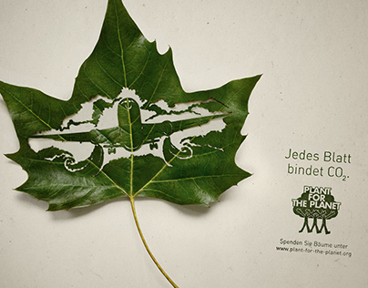 Plant for the Planet · Jedes Blatt bindet CO2