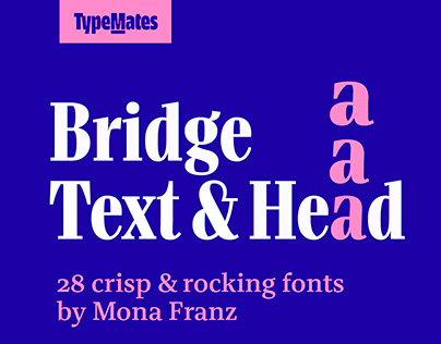 Bridge Text & Head type system by Mona Franz