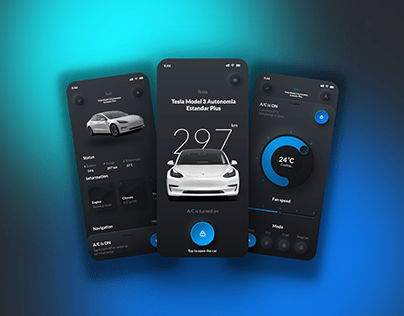 Tesla car App