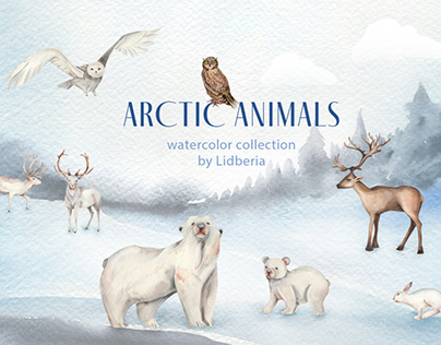 Arctic animals that live on land and in water