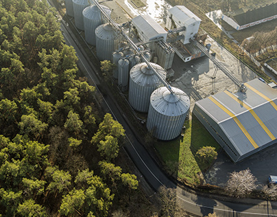 Arte Sostenible: Energía de Biomasa Visualizada