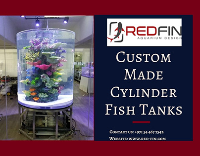 Cylinder fish tanks at Red-Fin