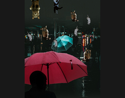 Composite Image - It's Raining Cats & Dogs