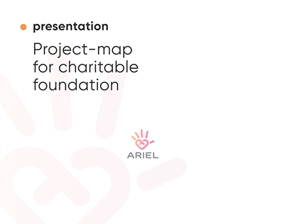 Strategy and project plan for charitable foundation