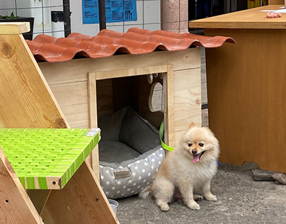 Casa para perro