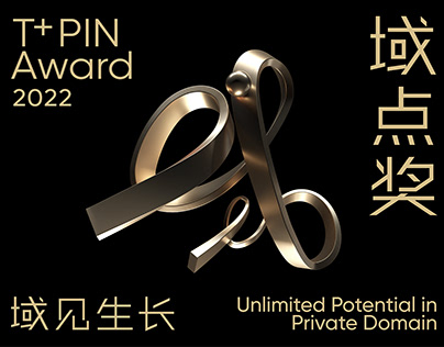 T+PIN Award 域点奖