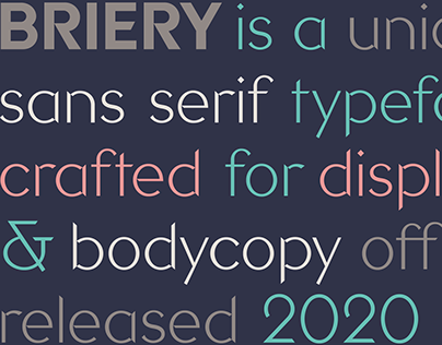 Briery Font Family