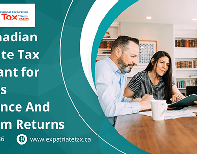 Canadian Expatriate Tax Consultant
