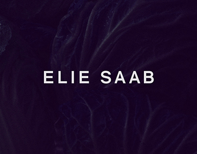 StoreFront - ELIE SAAB
