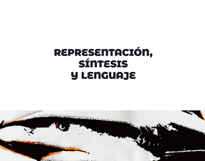 representation, sintesis & lenguage