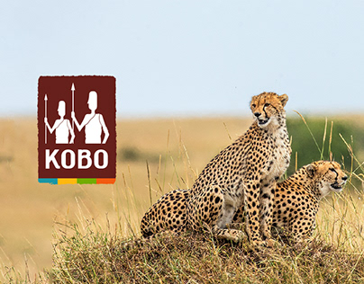 What If KOBO Rebranded?