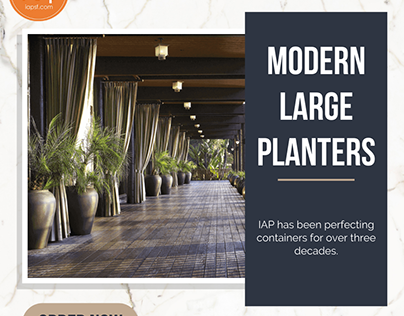 Modern Large Planters