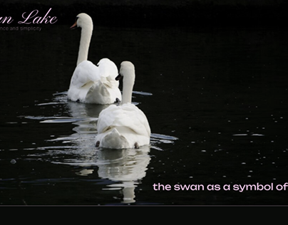 Landing page / long read / Swan Lake