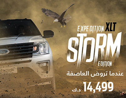 Ford Expedition Storm Edition