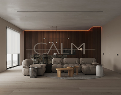Project thumbnail - CALM PROJECT