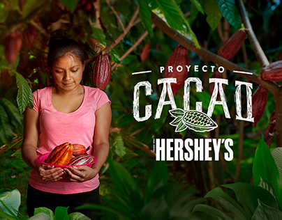 Project thumbnail - Proyecto Cacao