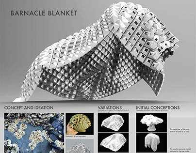 Barnacle Blanket (collaboration with choi junha)