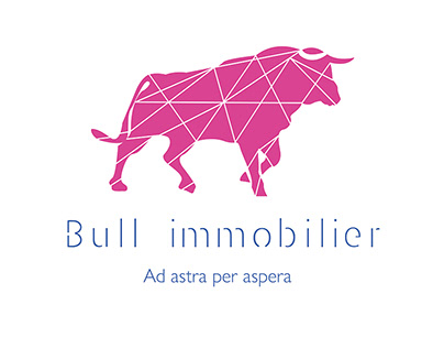 Bull immobilier - Bourges