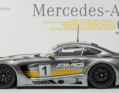 Mercedes AMG-GT3 Diamond Heat