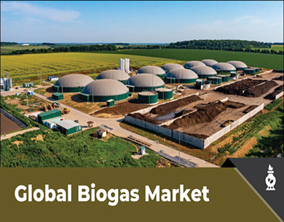 Global Biogas Market