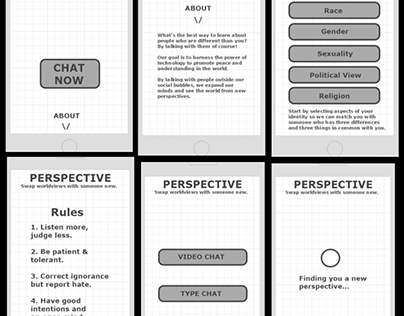 Perspective App Wireframe