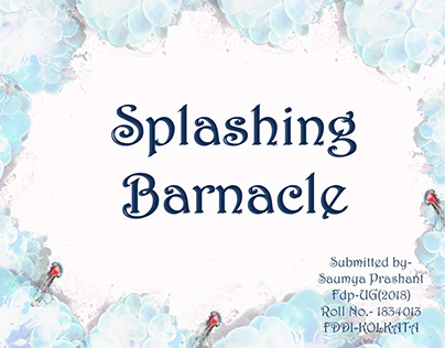 Splashing Barnacle