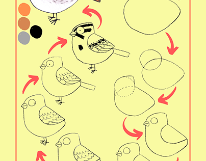 Drawing birds for kids