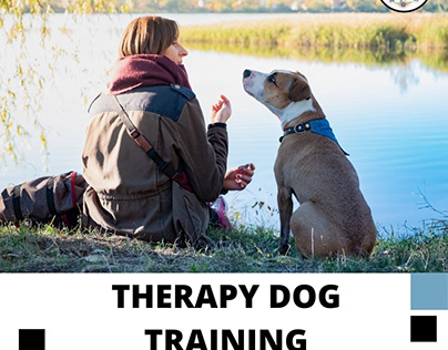 Therapy Dog Training Guide 2021