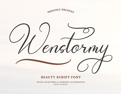 Wenstormy | Calligraphy Script
