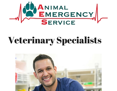 Veterinary Specialists