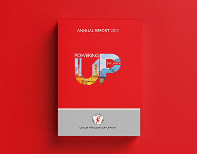 Annual Report for Petroleum Corporation