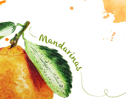 Mandarinas | Técnicas de ilustración