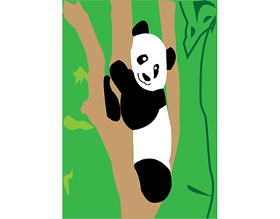 Panda Illstration