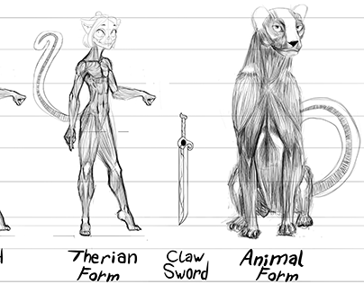 dt - Cheeta Therian Anatomy