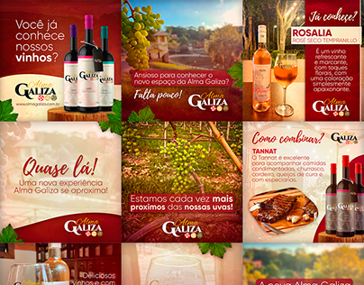 Vinho Fino Projects  Photos, videos, logos, illustrations and branding on  Behance